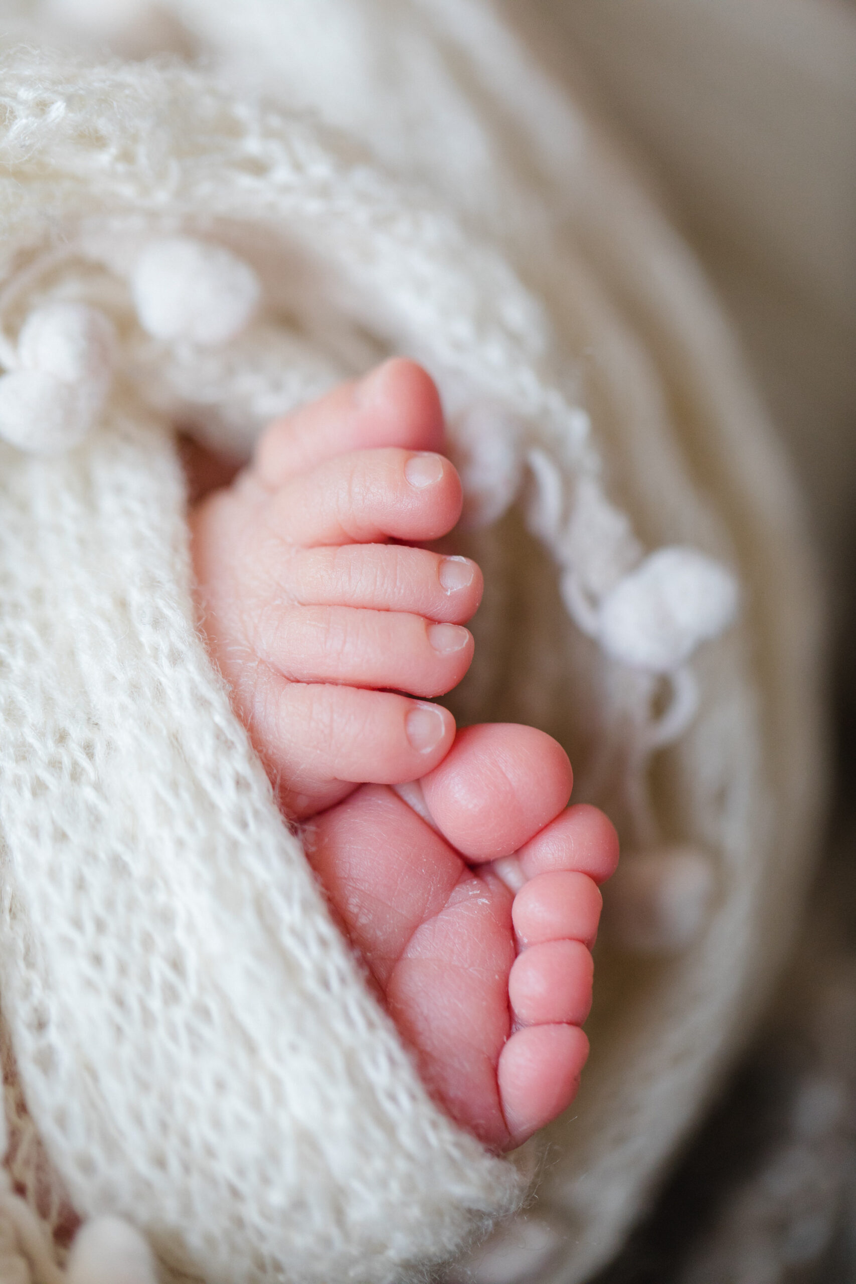 Baby- und Neugeborenenfotografie – BM-3549