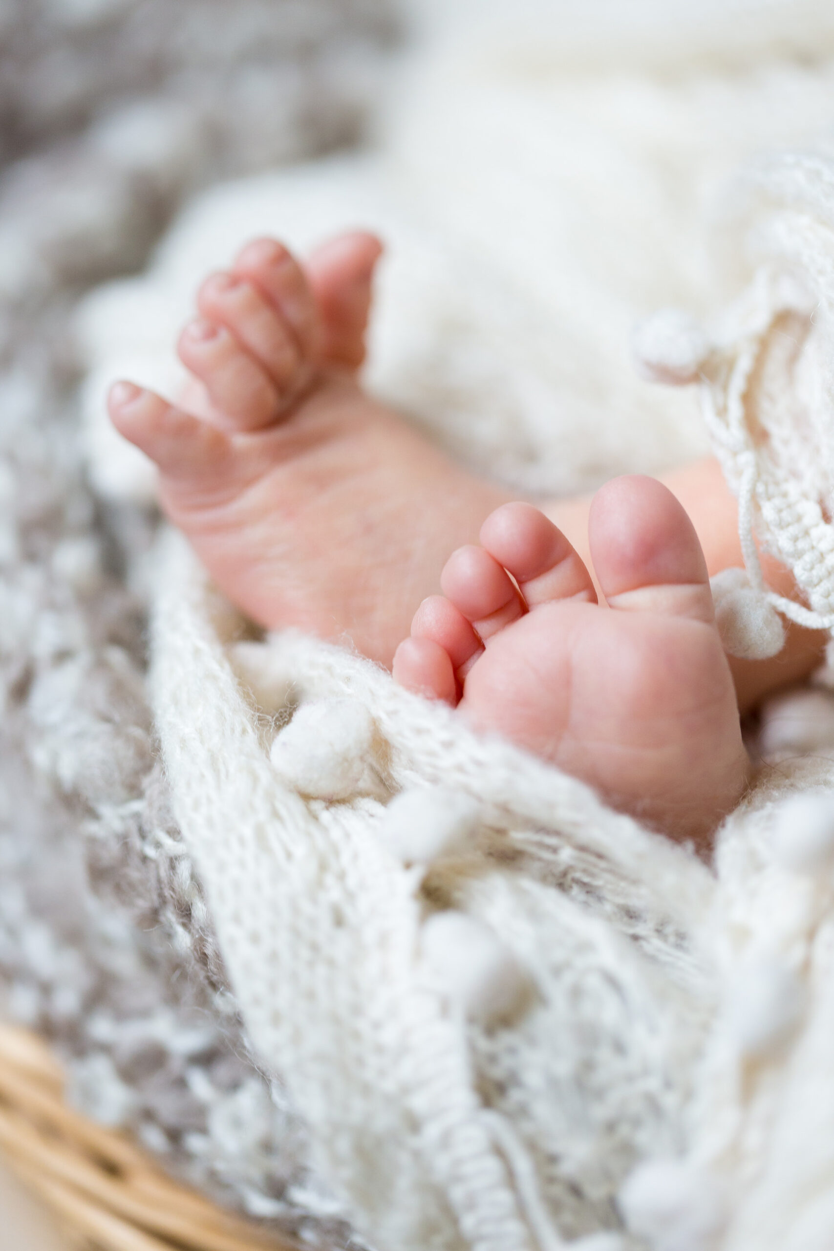 Baby- und Neugeborenenfotografie – BM-3623