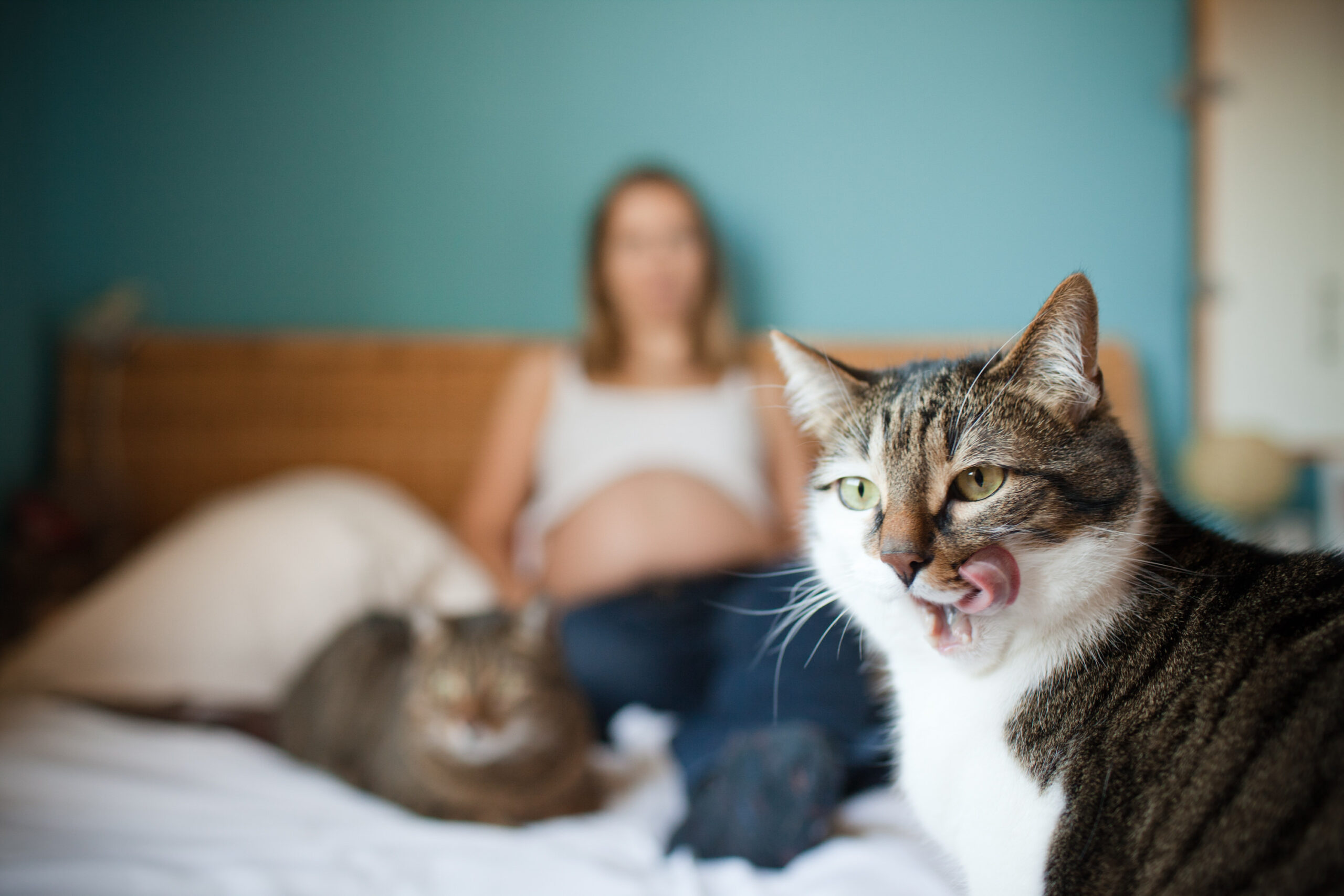 Baby- und Neugeborenenfotografie – BM-3702