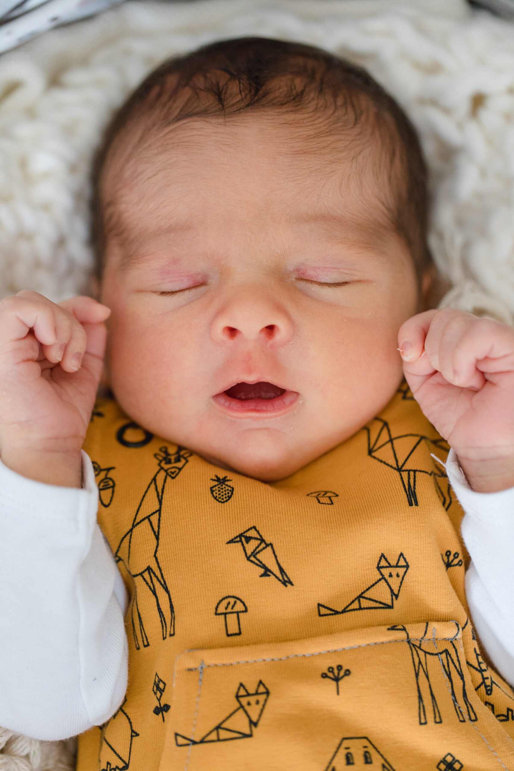 Baby- und Neugeborenenfotografie – BM-4147