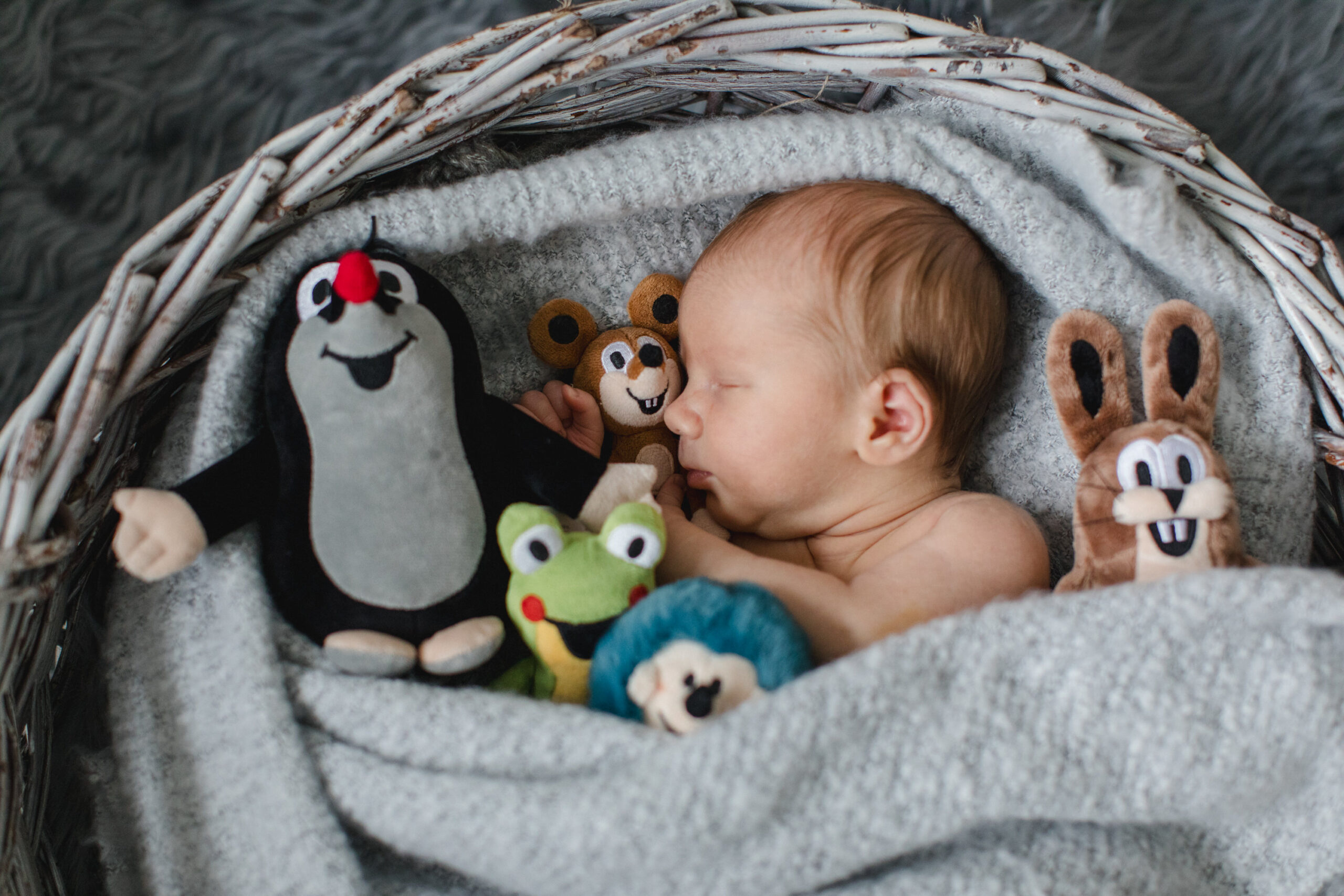 Neugeborenes in einer ruhigen Kuschelpose mit Stofftieren