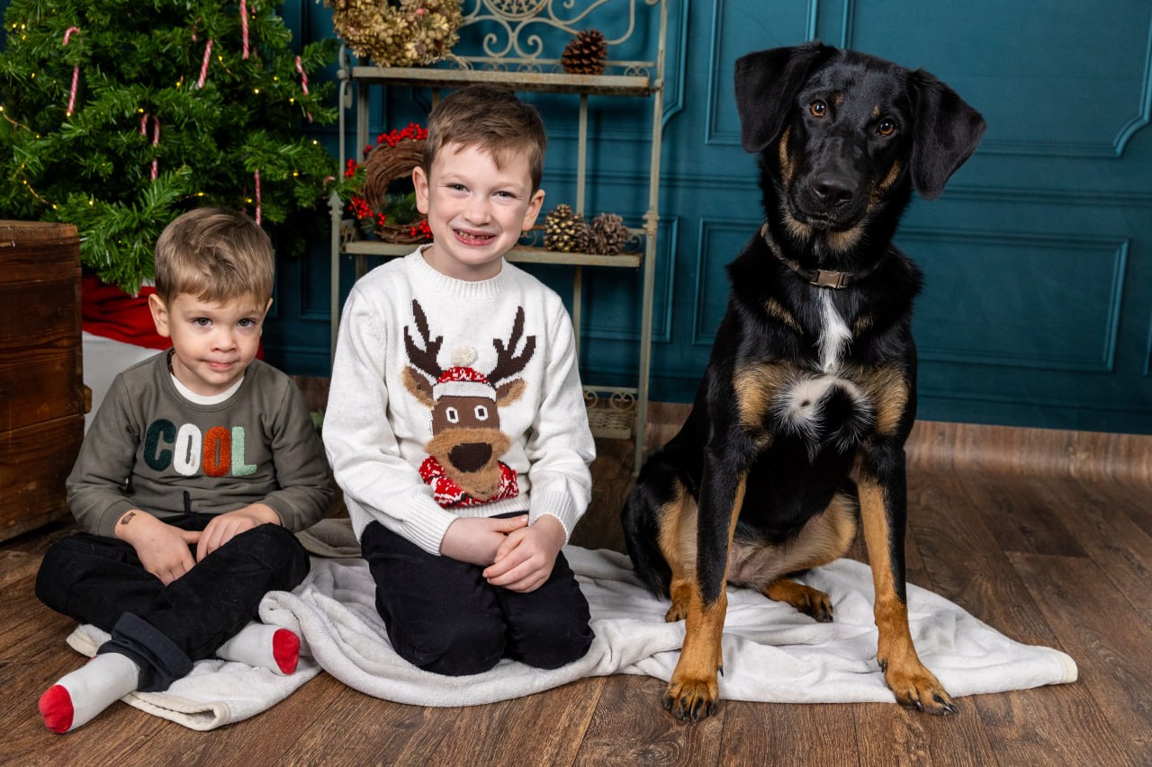 Weihnachtsfoto im Baby-Memories-Studio
